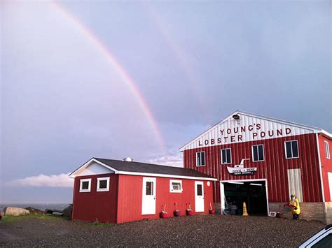 Young's Lobster Pound & Seafood Restaurant, Maine Live ...