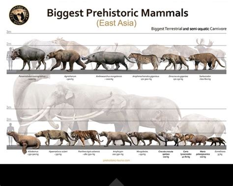 Biggest Prehistoric Mammals Of East Asia Carnivore Poster