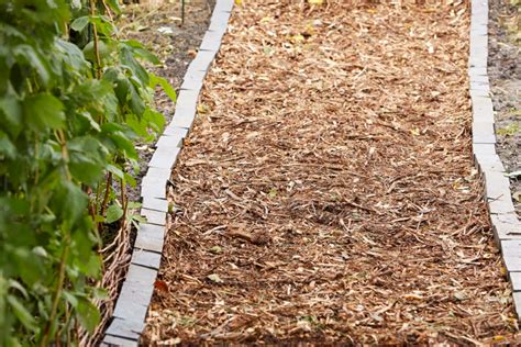 Holzhackschnitzel für den garten sind nicht teuer, sehr langlebig und vielseitig einsetzbar. Gartenweg günstig anlegen mit preiswerten Materialien ...