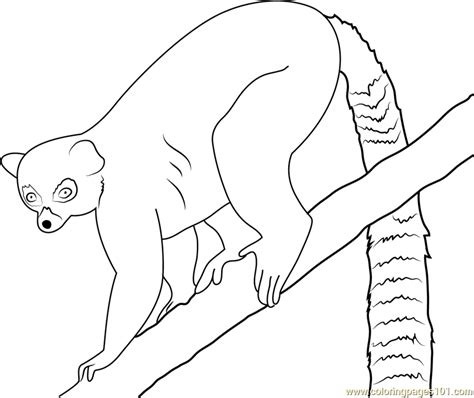 Ring Tailed Lemur Coloring Page At Free Printable