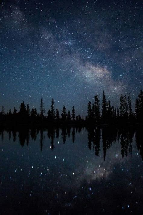 Treeline Milky Way Night Sky Photos Landscape Photography