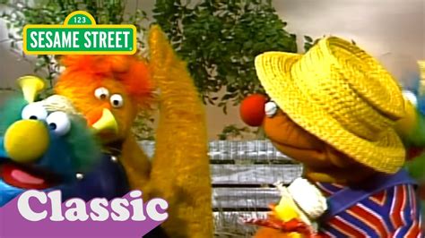 Ernie And The Honker Ducky Dinger Jamboree Song Sesame Street Classic