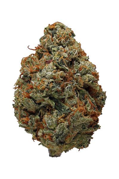 Og Kush Strain Hybrid Cannabis Review Thc Terpenes Hytiva