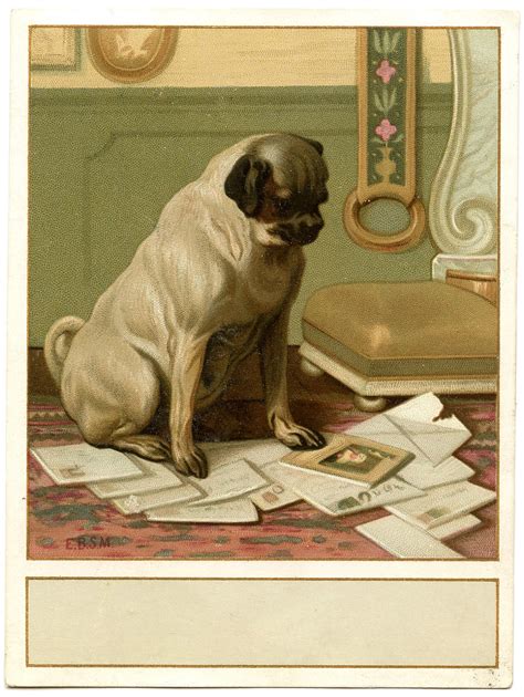 Vintage Image Cute Dog With Mail Label The Graphics Fairy