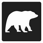 Bear Simple Icon Square Svg Transparent Polar