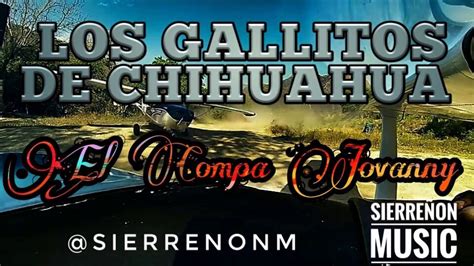 Los Gallitos De Chihuahua El Compa Jovanny Youtube