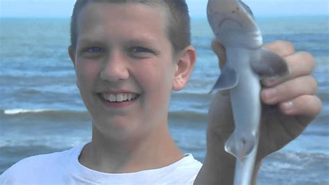 Shark Caught On Ocean City Fishing Pier Youtube