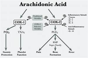 Nsaids Cox 1 Cox 2 Diagrams