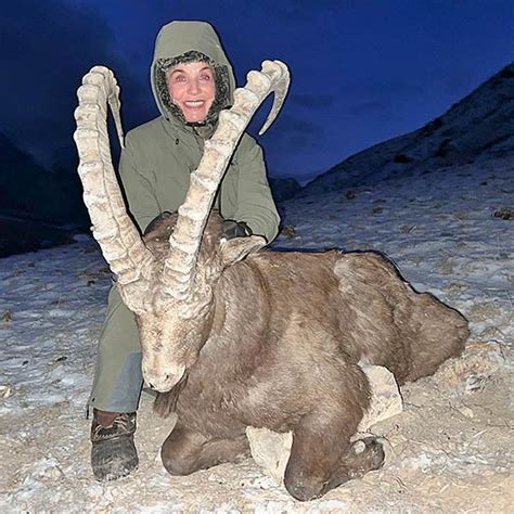 Pamir And Bukharan Ibex Hunting In Tajikistan Profihunt Profihunt