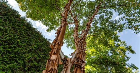 Deine Lieblingsgärtner Garten Und Landschaftsbau