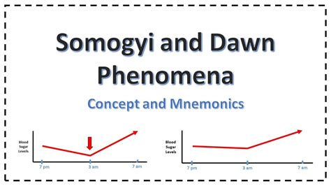 Somogyi And Dawn Phenomenon Explained Youtube