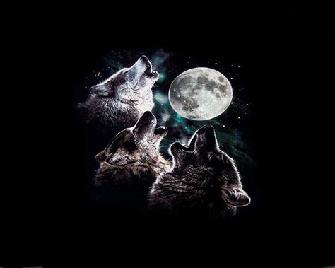 🔥 48 Wolf Moon Wallpaper Wallpapersafari