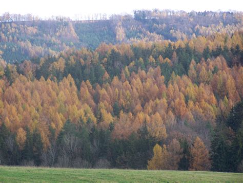 Tapeta podzim u Konětop Wallpaper cz