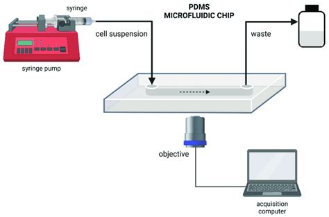 Schematic Diagram Of A Microfluidic Setup Download Scientific Diagram