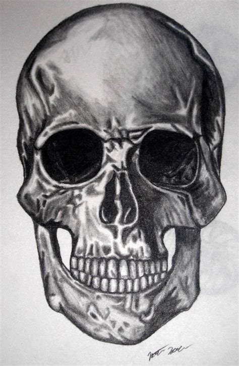 Skull Aido Bonsai
