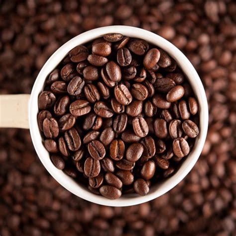 We at sweet bean coffee company appreciate the fact that nearly 450 million folks start their day with a cup of coffee. Beverage Factory - Beginner's Guide To Coffee Beans ...