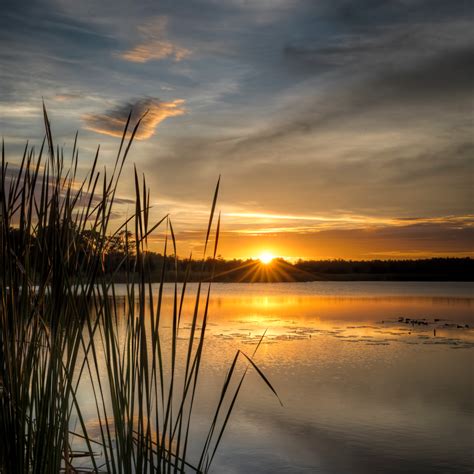 Sunset At The Lake Photographic Art