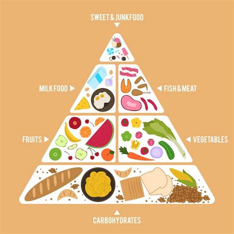 Free Vector Food Pyramid Template