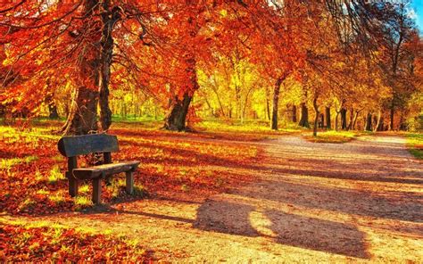 Download Wallpaper 3840x2400 Bench Autumn Park Foliage 4k Ultra Hd