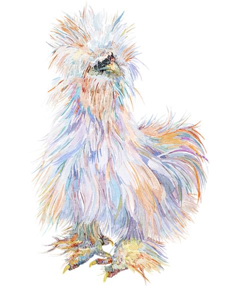 Silkie Chicken Toto Framed Art Print By Becca Boyce Vector Black