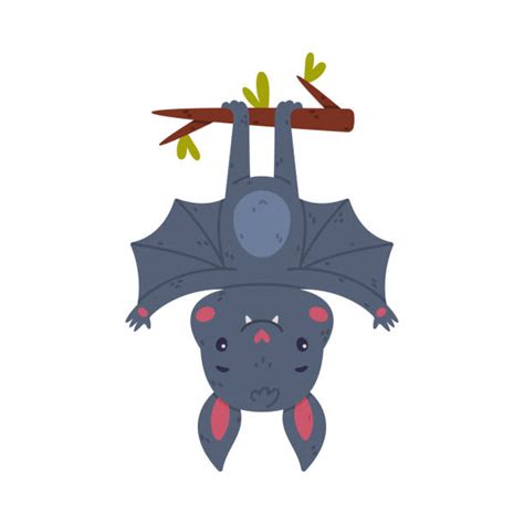 60 Cartoon Of A Bats Hanging Upside Down Illustrations Royalty Free