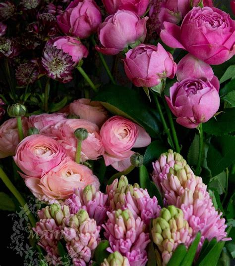 Роскошные цветы ждут Вас на день Матери Заказ по Тел 243 222 6 Больше букетов myata