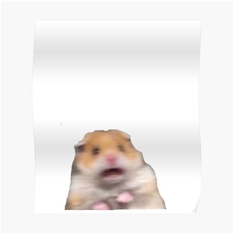 Hamster Meme Ts And Merchandise Redbubble