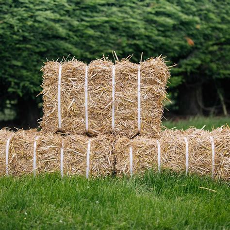 Baled Straw Bales For Sale Baled