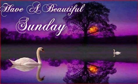Have A Beautiful Sunday Weekend Sunday Sunday Quotes Happy