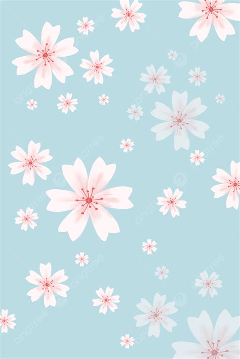 Simple And Fresh Light Blue Cherry Blossom Flower Background Simple