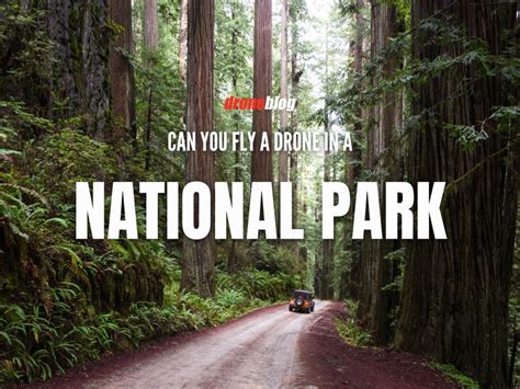 Can You Fly A Drone In A National Park Droneblog