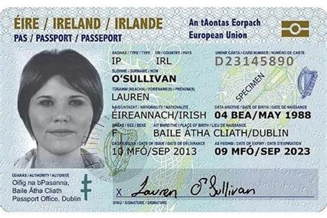 Irish Driving Licence Office Dublin Faentrancement