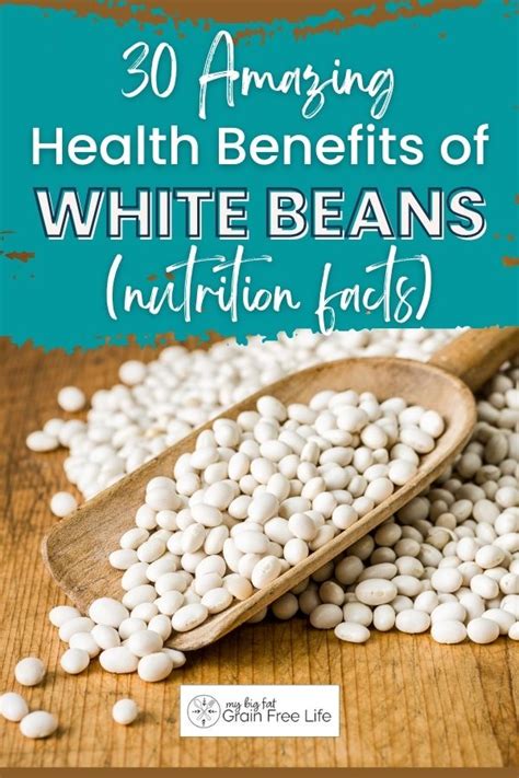 30 Amazing Health Benefits Of White Beans Nutrition Facts