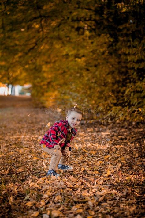 Little Boy Walks In Nature In Autumn A Preschooler In The Autumn Park