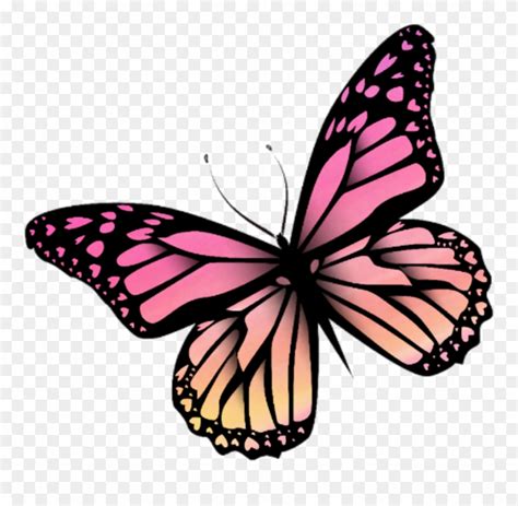 Pink Butterflies Sticker By Haleyerin C43