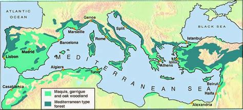 Geography 5 Final Project The Mediterranean Basin And Its Historical State