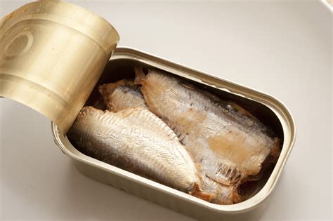 Sardine Can With Open Lid Free Stock Image