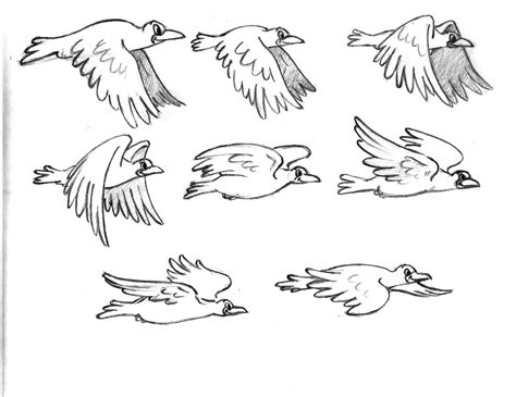Bird Flying Animation Drawing Clip Art Library