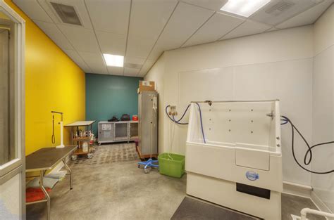 Furry Friends Pet Resort — Augustine Design Group