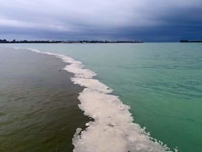 Macarthur beach state park billie swamp safari gumbo limbo nature center florida trail association lion country safari whitehall historic flagler mansion yesteryear village fairground the society of the four arts palm beach county history museum seminole country inn palm beach zoo hard rock cafe hotel &…read more › Petition · Stop Lake Okeechobee discharges from polluting ...