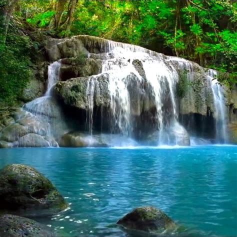 Stream Waterfall And Jungle Birdsong Sounds Relaxing Nature Hd By Shiv