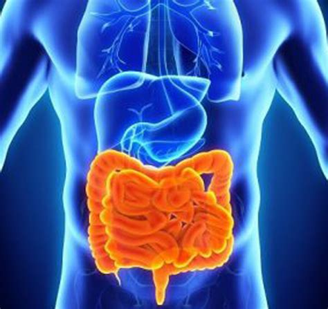 Can colon cancer be mistaken for hemorrhoids. Integrated Colorectal Care • Long Island • New York