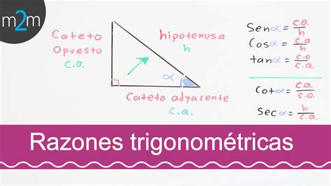 Graficas De Las Funciones Trigonometricas