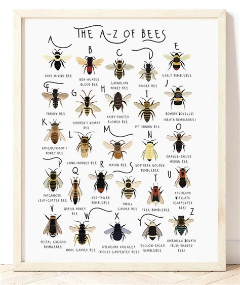 A Z Of Bees Bee Print Types Of Bees Art Alphabet Poster Bee Lover