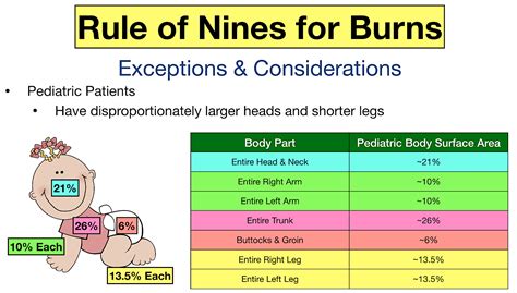 Rule Of Nines For Burns Child And Adult Chart Calculator Definition