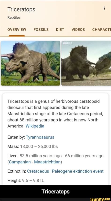 Overview Fossils Diet Videos Characti Triceratops Is A Genus Of