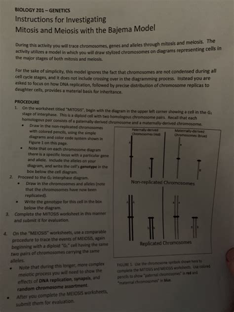 In addition to printing the animals, you can copy a printout (click here for instructions) and paste it into a painting program (like paint) and color the animal there. Mitosis Coloring Worksheet Answer Key Biology Corner, 31 Cell Cycle Coloring Worksheet Answers ...