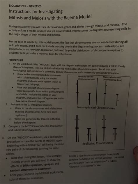 Unthinkable plant cell coloring detailed color diagram of a wiring. Mitosis Coloring Worksheet Answer Key Biology Corner, 31 Cell Cycle Coloring Worksheet Answers ...