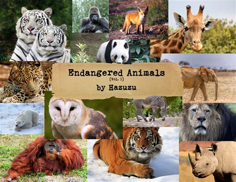 Endangered Animals Species Bundle 7 Pages Collage Sheets Etsy