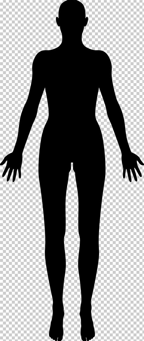 Female Body Silhouette Clip Art ~ Silhouette Woman Body Vector